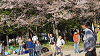 hana26 (270)_thumb.png